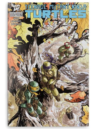 Фигурка в ассортименте Черепашки Ниндзя with Comic WaVe1 Донатэлло 787926113365