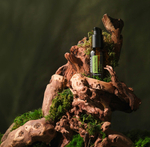 Масло для волос и бороды dōTERRA «Шинрин-Ёку», Shinrin-Yoku Hair & Beard Oil, 30 мл