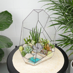 Флорариум с суккулентами Калипсо с озером