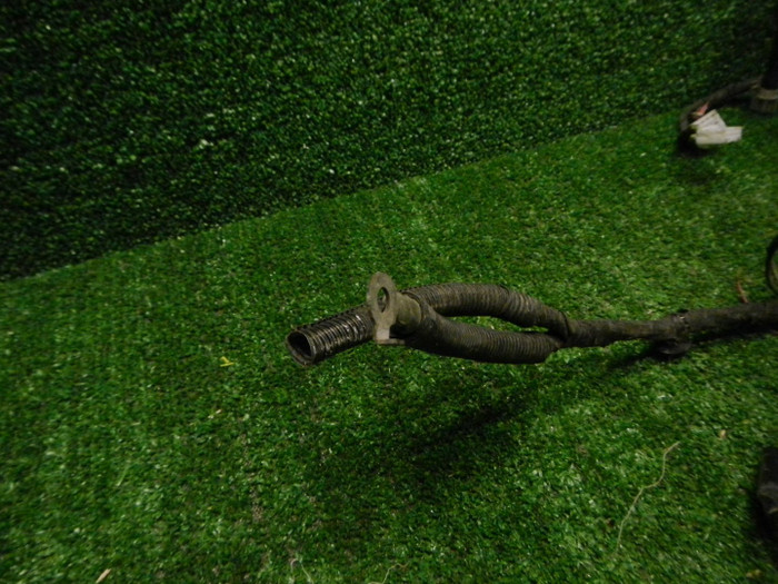 DSCN1265.JPG