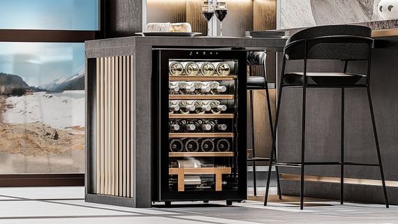 Винный холодильник Meyvel MV24-KBF1