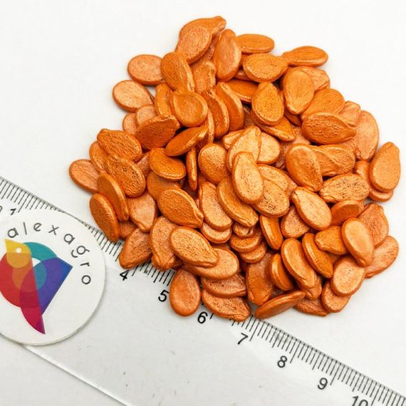 ТАЛИСМАН F1 семена арбуза (Nunhems | Alexagro)