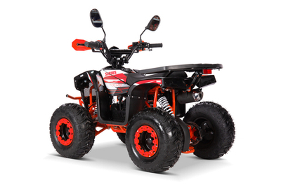 Квадроцикл YACOTA SIRIUS 110