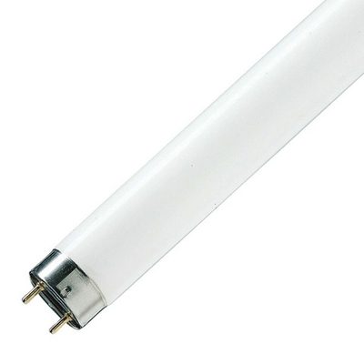 Люминесцентная линейная лампа T8 TL-D 36W/840 4000K SUPER 80 G13 1200mm Philips (871150063201240) 927921084055