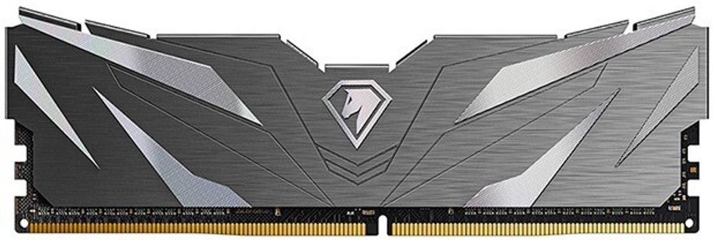 Модуль памяти DDR5 16GB Netac NTSWD5P48SP-16K