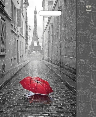 Пакет ВУР 38*47см /60 мкм Мой Париж 1 шт