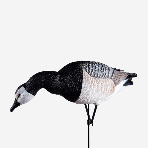 Белощекая казарка Duck Mania "ELITE"