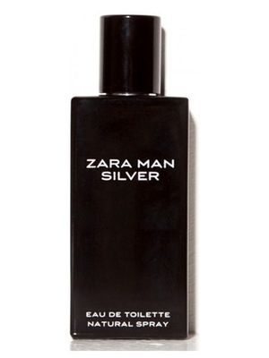 Zara Man Silver