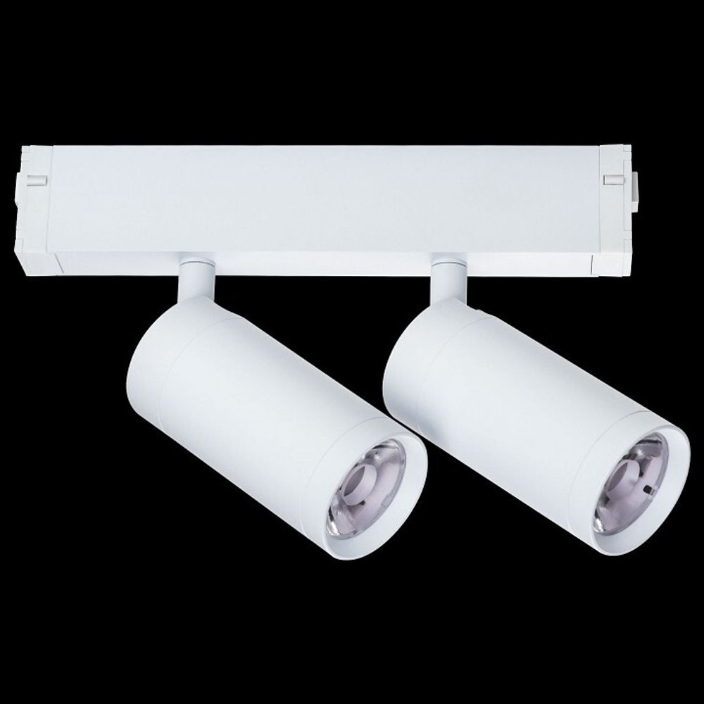 Светильник на штанге Lightstar Teta 205506