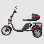 Электроскутер CityCoco SKYBOARD Trike BR80
