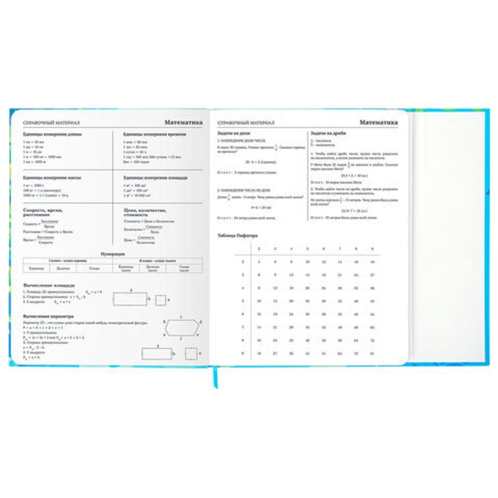 Дневник 1-11 класс 48 л., твердый, BRAUBERG, матовая ламинация, магнитный клапан, закладка-ляссе, с подсказом, "Котик", 107244
