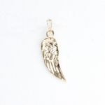 Wings charm