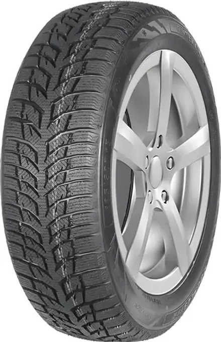 Зимняя шина DoubleStar DW08 (225/55 R17 97T)