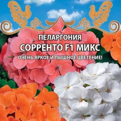 Пеларгония Сорренто F1 Крупноцветковая