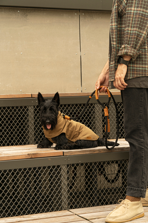 Попона "Пони-попони" песочная