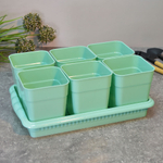 Ящик для рассады на 6 стаканчиков 460мл с поддоном "Дом и Дача"