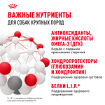 Royal Canin Maxi Ageing 8+ Макси Эйджинг Корм сухой для стареющих собак крупных пород старше 8 лет 15кг