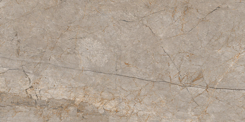 Керамогранит Futura тонкий Silver Roots серый ректификат 60x120 A17124