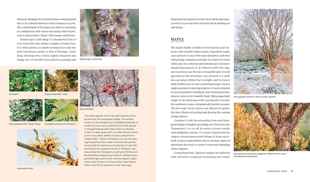 Plants for the Winter Garden