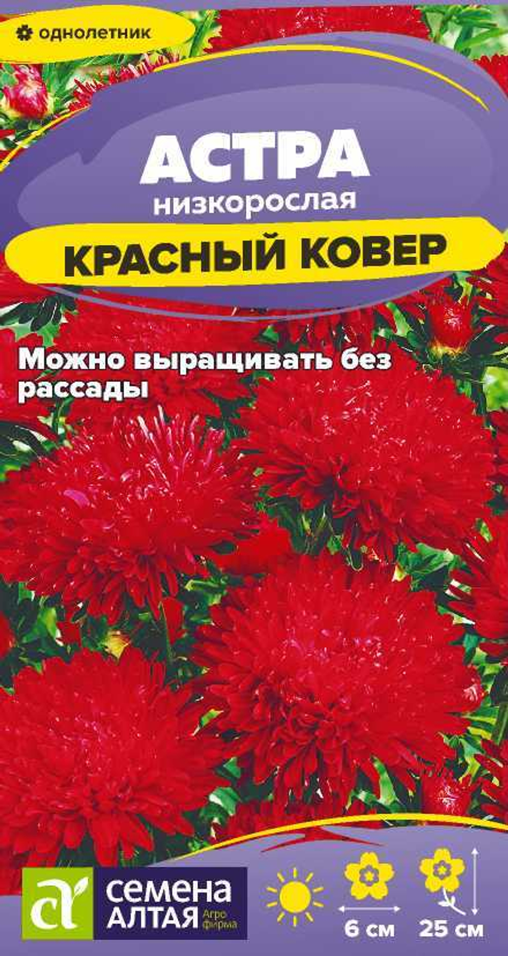 Астра Красный ковер низкорослая 0,1г Семена Алтая