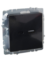 BRITE Розетка USB A+C 18Вт РЮ11-1-БрЧ черный IEK