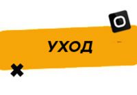 Купить Уход