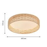 Потолочный светодиодный светильник F-Promo Conrad 4749-4C