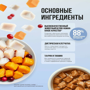 Пауч кусочки в соусе BOWL WOW для котят и беременных кошек, с белой рыбой и тыквой