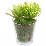 Цветок искусственный «Суккулент» 6*11см в стеклянном горшке ZPY-05