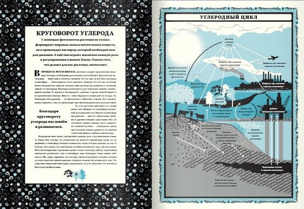 Мир растений