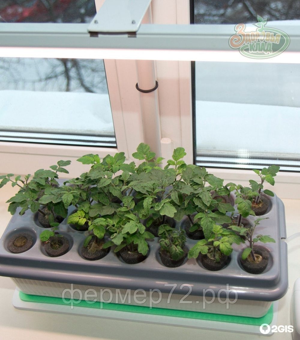 Фитосветильник «РАСТУЩИЙ светильник 16 Вт»