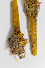 «Факел» из трав и пчелиного воска