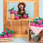 Игрушка Crinkle Crops Слива ZippyPaws