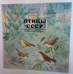 Воробьиные Пеночки И Пересмешники (Passeriformes Leaf Warblers and Hippolais Warblers)