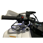 Квадроцикл MOTOLAND Shark 200