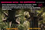 Ель голубая искусственная «Бордо» (Литая хвоя) от 1.8 до 2.4 м