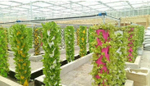 Вертикальная гидропонная система на 48 растений (ПОД ЗАКАЗ)