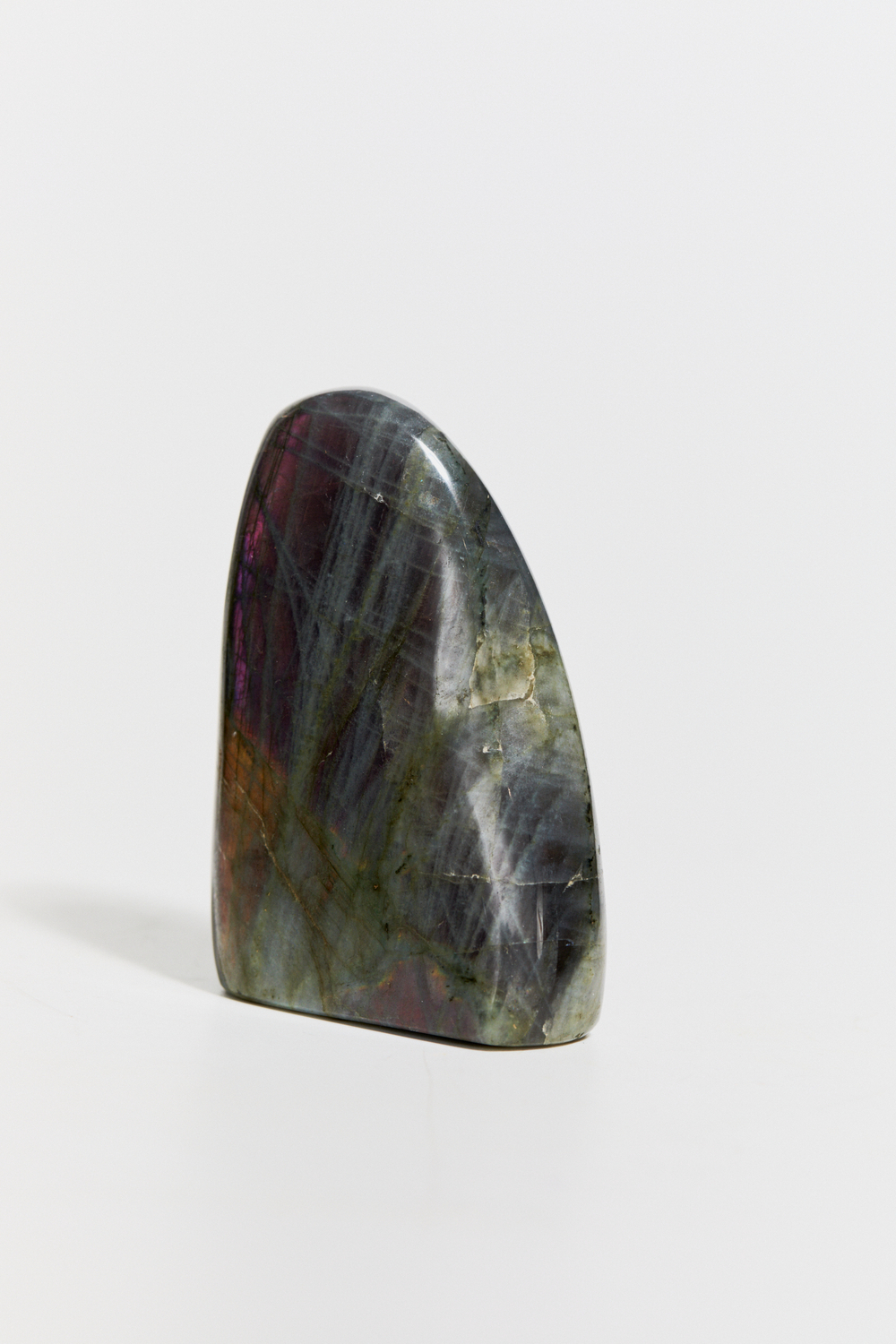 Срез Лабрадора S