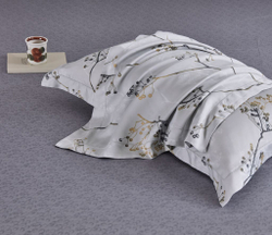 Постельное белье 2 спальное евро Asabella 2095-6/180