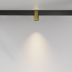 Трековый магнитный светодиодный светильник Maytoni   TR122-2-7W3K-BS