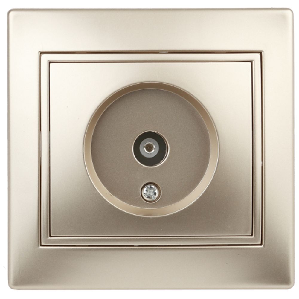 Розетка Intro Plano 1-301-04 TV одиночная, IP20, СУ, шампань | Intro Plano Шампань