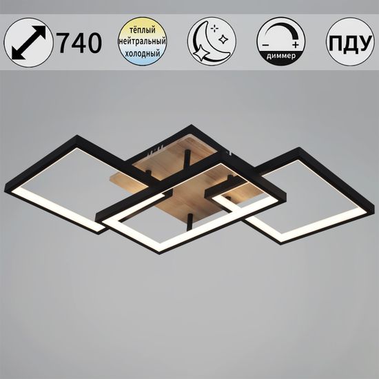 49560-0.3-03 BK+WOOD светильник потолочный