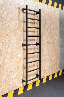 Шведская  стенка STECTER WALL