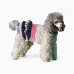 Трусы «Рюши»