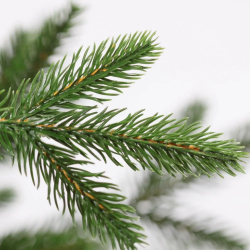 Ель искусственная Царь Елка Раскидистая Премиум, РДП-240