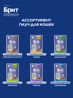 Пауч БРИТ ПРЕМИУМ для взрослых кошек форель в желе 85 г