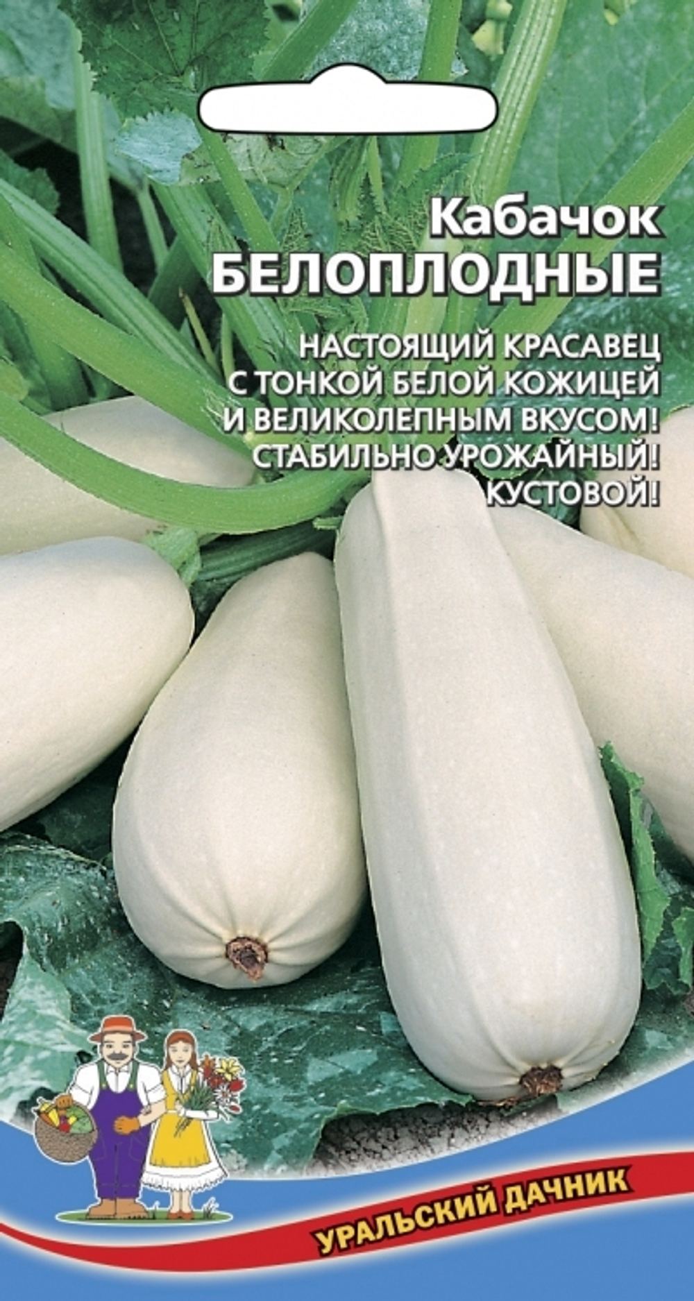 кабачок Белоплодные