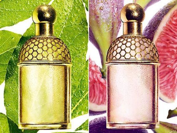 Guerlain Aqua Allegoria Figue - Iris