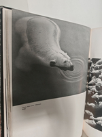 Fotojahrbuch 1963/64