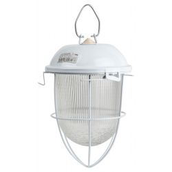 Светильник ЭРА НСП 41-200-003 с решеткой Желудь сталь стекло IP54 E27 max 200Вт 172х306х315 белый
